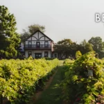 Beachaven-Vineyards_Desktop_TN