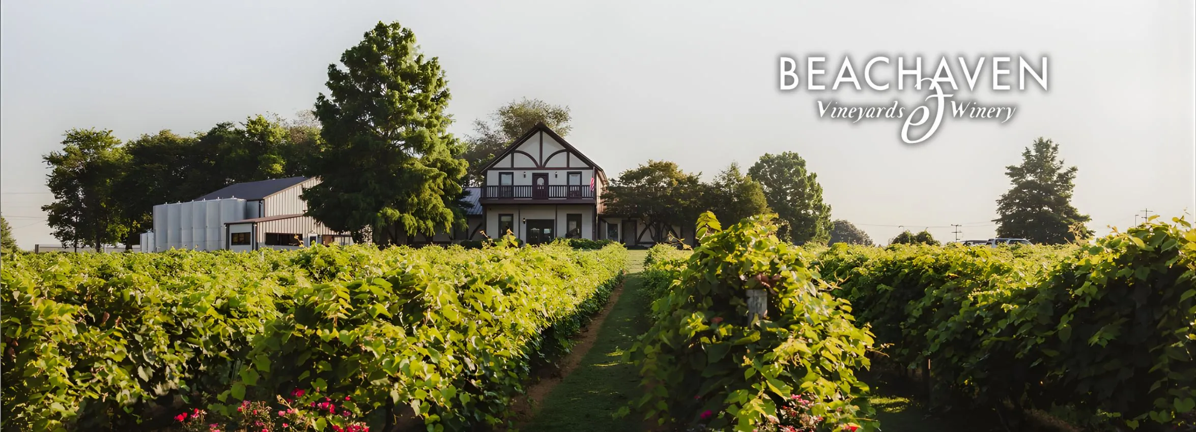 Beachaven-Vineyards_Desktop_TN