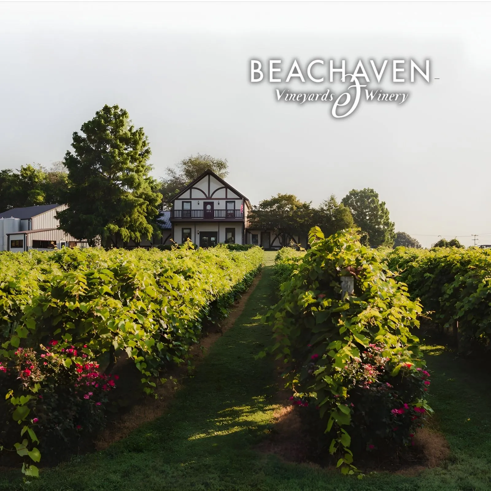 Beachaven-Vineyards_Mobile_TN