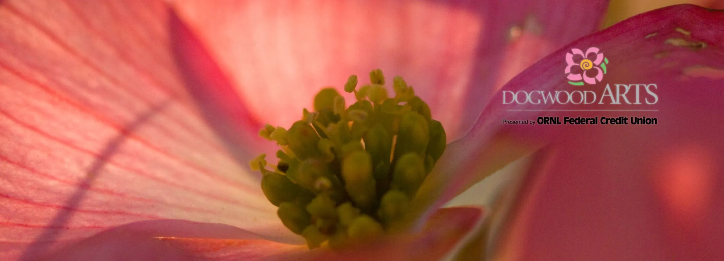 Dogwood-Arts-Festival_Desktop_ETN