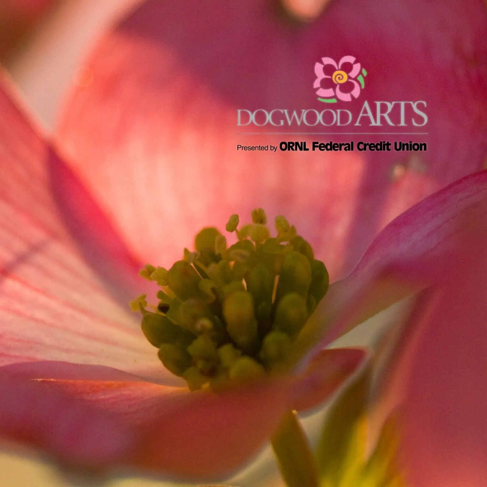 Dogwood-Arts-Festival_Mobile_ETN