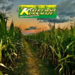 Kyker-Farms-Korn-Maze_Mobile_ETN