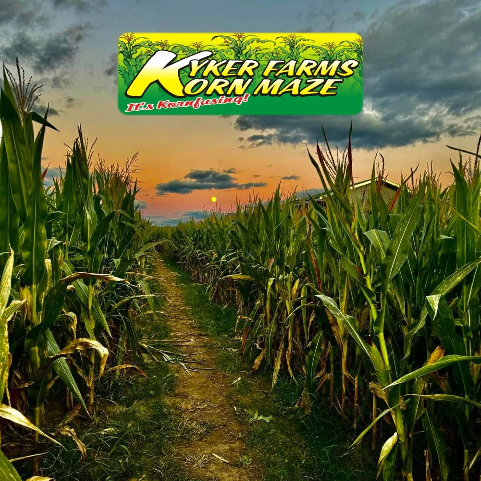 Kyker-Farms-Korn-Maze_Mobile_ETN