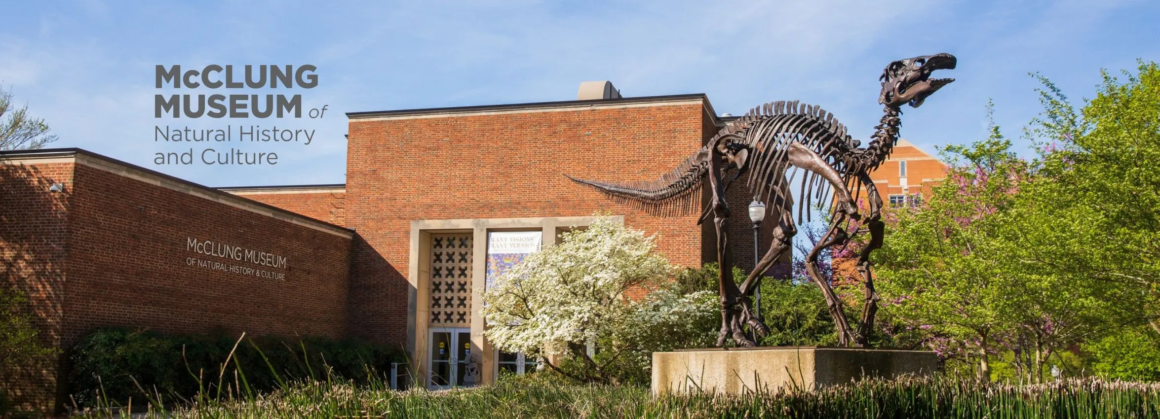 McClung-Museum-_Desktop_ETN