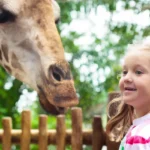 Zoo-Knoxville_Desktop_ETN