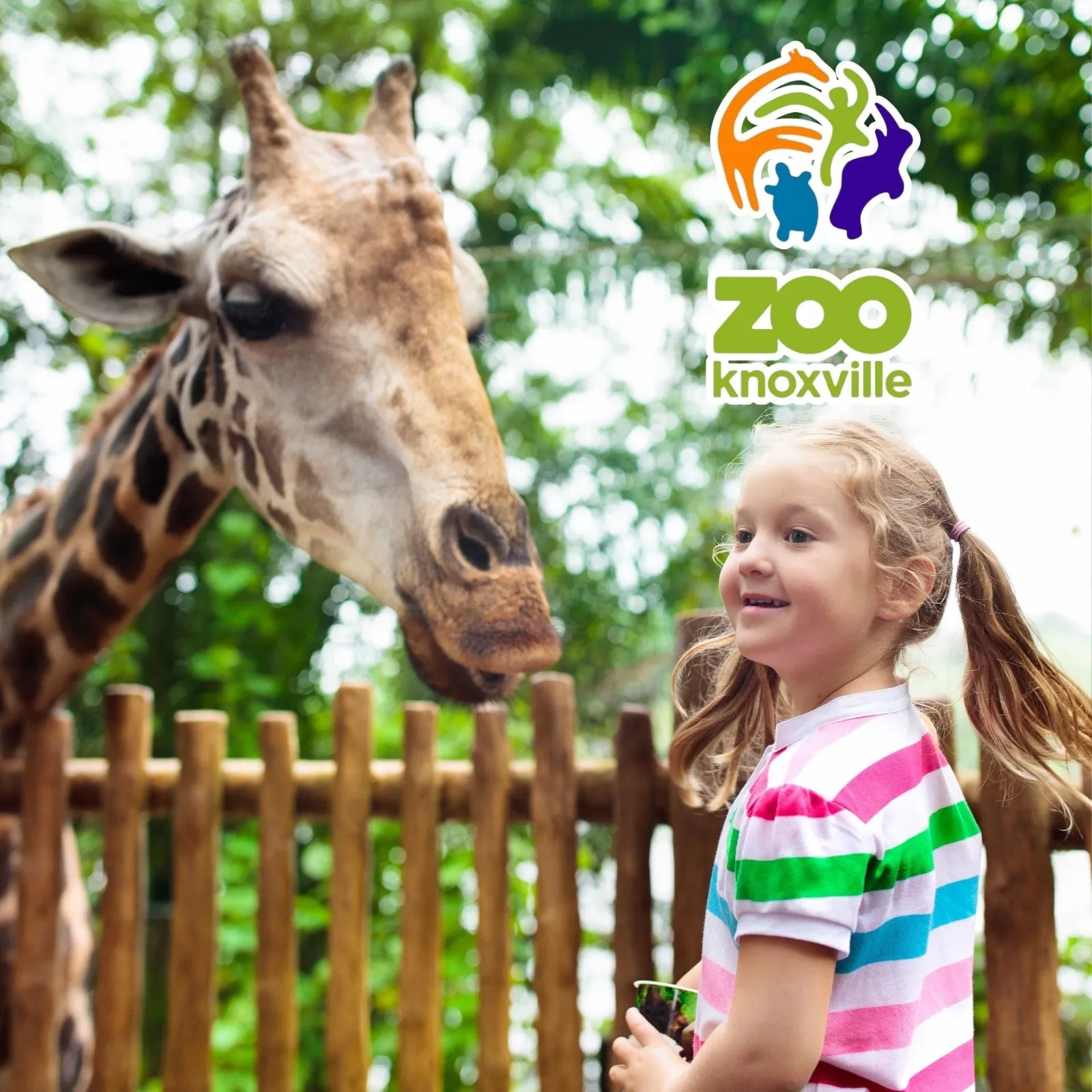 Zoo-Knoxville_Mobile_ETN